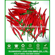 NP271 Guoren chinese hybrid hot pepper seeds producer